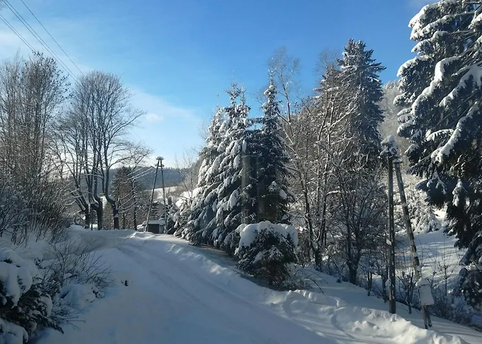 Sokolec Guest house 3*